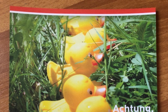 Gummi Enten Rennen .jpg